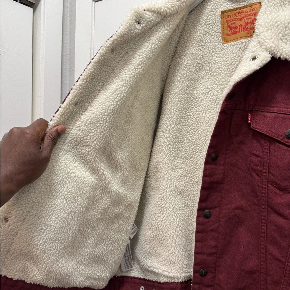 Levi's Sherpa Trucker Jacket - Picture 8 of 11